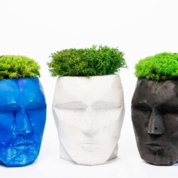 Бетонна ваза 3D з ягелем та мохом кочка