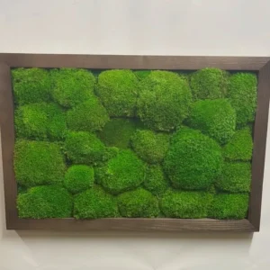 Картина з Кульковим мохом