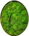 Годинники з мохом Купина (кочка)