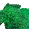 Farnmoos | Dekoratives Moos - Box 2,5 kg