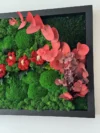 Struktur und Farben von konserviertem Moos und Eukalyptus – Naturdesign im Detail