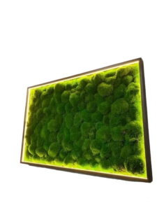 Картина з кульковим мохом та LED-підсвіткою