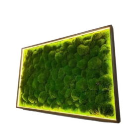 Картина з кульковим мохом та LED-підсвіткою