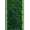 Картина з кульковим мохом та LED-підсвіткою Картина з кульковим мохом та LED-підсвіткою