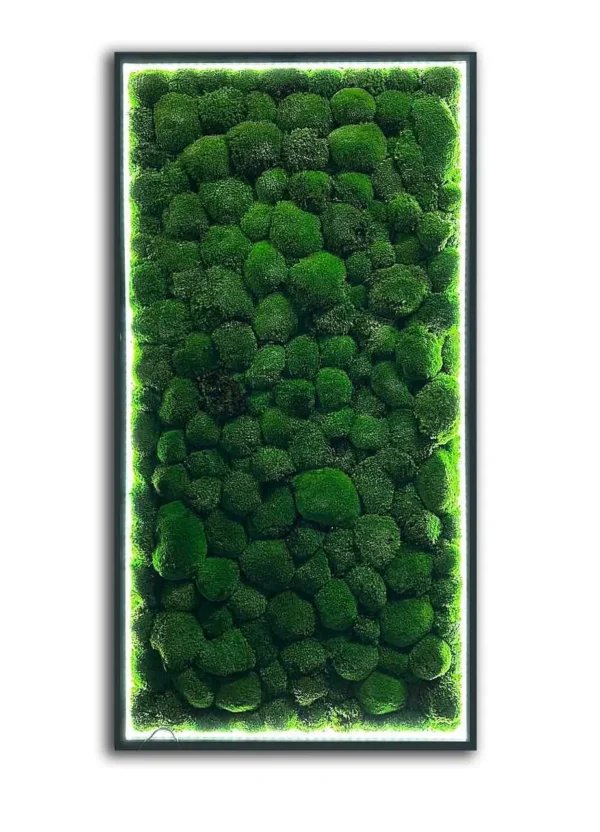 Картина з кульковим мохом та LED-підсвіткою Картина з кульковим мохом та LED-підсвіткою