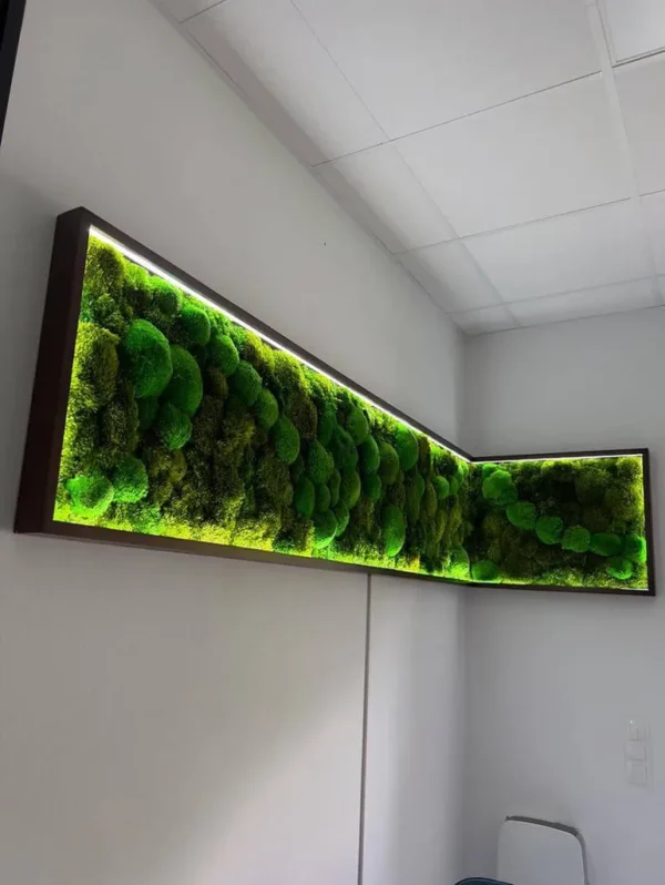 Картина з кульковим мохом та LED-підсвіткою Картина з кульковим мохом та LED-підсвіткою
