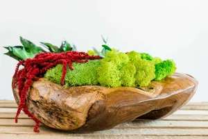 Категорія товарів - Декоративні миски