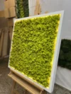 Мохова картина з ісландським мохом та LED-підсвіткою