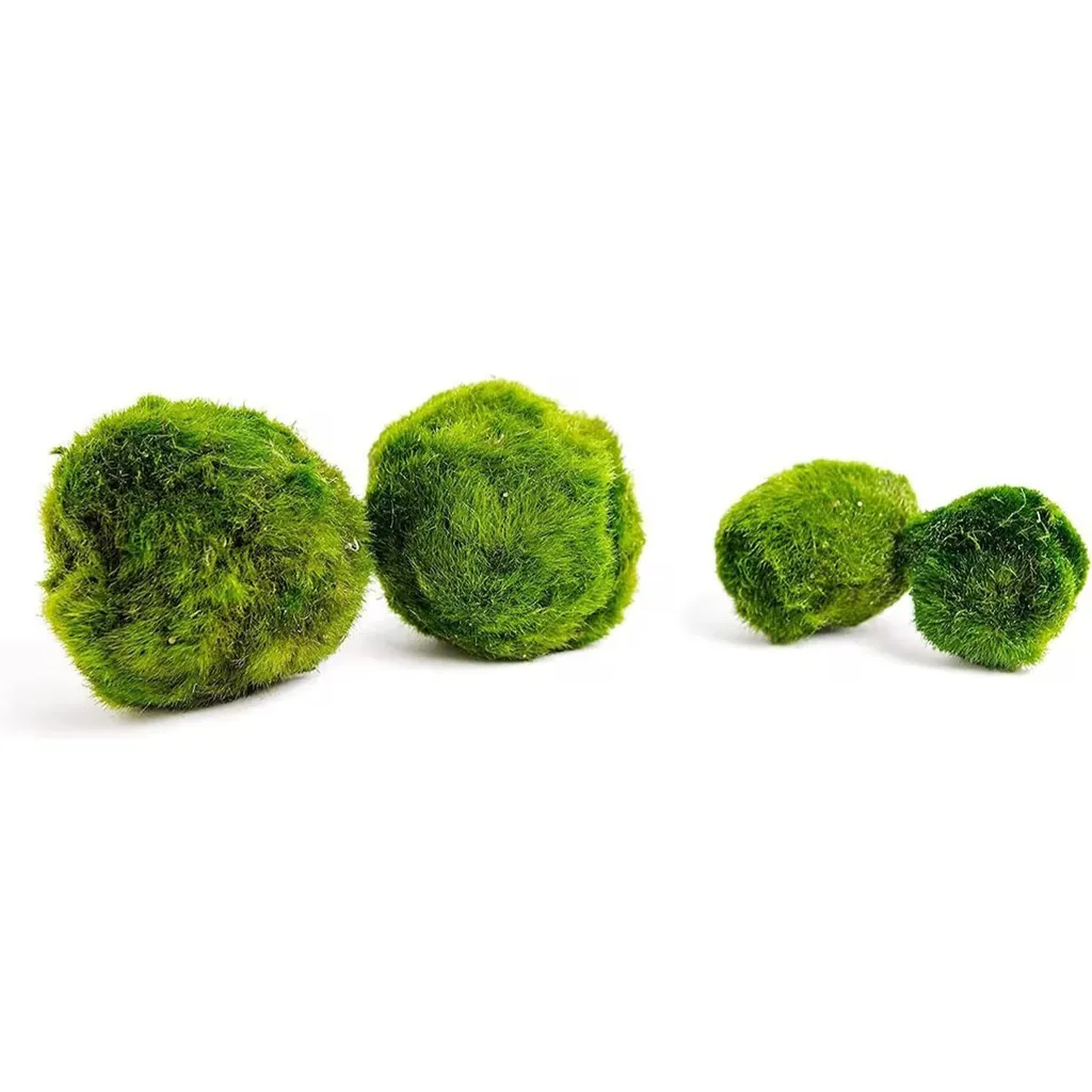 Moosballs_result Куля з моху Марімо для акваріума