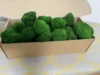 Стабілізований кульковий мох Кладофора в картонній коробці 1 кг