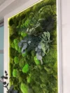 Картина з кулькового моху та рослинами з підсвіткою