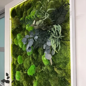 Картина з кулькового моху та рослинами з підсвіткою