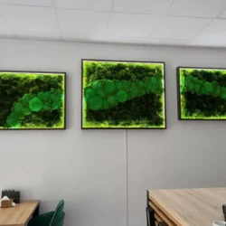 Набір мохових картин з LED підсвіткою