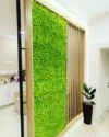 Перегородка із настінних панелей з ісланським мохом