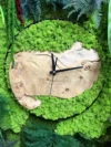 Круглий настінний годинник з мохом, масивним деревом та рослинами | Картинний годинник