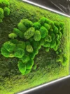 3D карта світу з підсвіткою та мохом кульовим і плоским