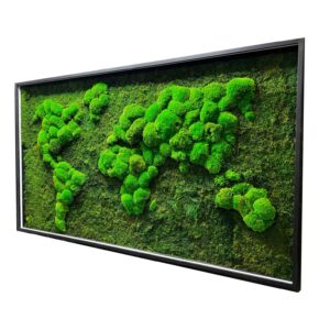 Картина мапа світу з плоского та кульового моху