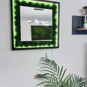 Quadratischer Spiegel von Ekomoss mit grünem Ballenmoos und LED-Hintergrundbeleuchtung an einer weißen Wand. Im Spiegel spiegeln sich eine moderne Leuchte und eine Moos-Weltkarte wider.