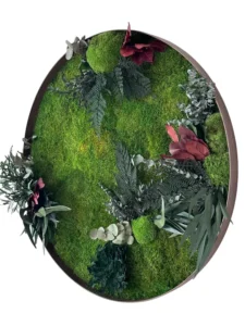 Кругла картина з моху та рослин – джунглі