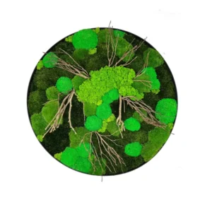 Кругла картина з моху та коряг