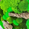 Кругла картина з моху – мікс моху та коряги