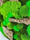 Кругла картина з моху – мікс моху та коряги