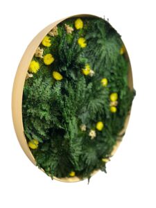 Кругла мохова картина з троянди Ієрихону та квітів