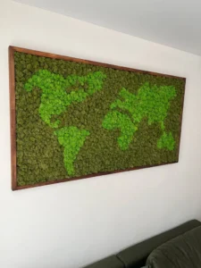 Панно "Карта світу" з ісландського моху в рамі