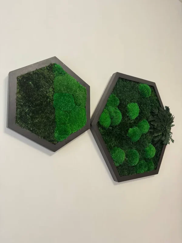 Шестикутна мохова картина з кульковим та прованським мохом