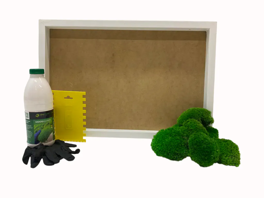 Moss Atr DIY Ballmoss_result Набір DIY для картини з моху Кульковий мох