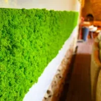 Moss panel
