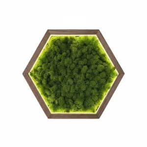 Шестикутна картина з моху з LED підсвіткою Ekomoss