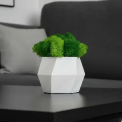 Hexagon with islandmoss_result Ваза з мохом Hexagon — декор ручної роботи з ісландським мохом