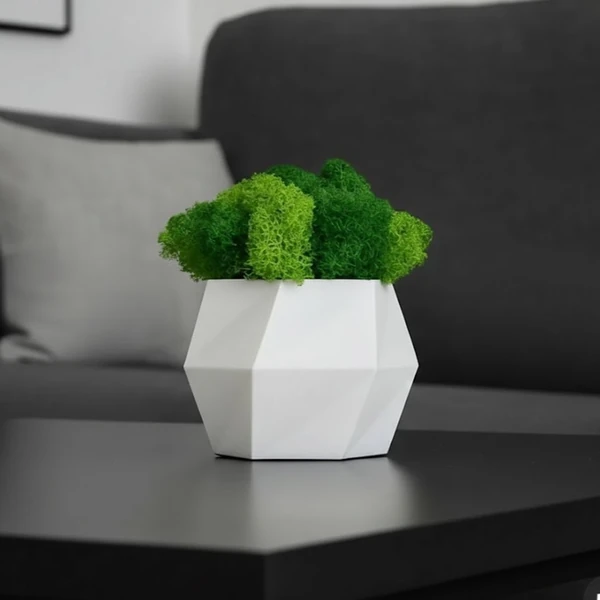 Hexagon with islandmoss_result Ваза з мохом Hexagon — декор ручної роботи з ісландським мохом