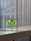 Бонсай з моху з LED-підсвіткою біля вікна.
