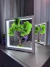 Зелений бонсай з ісландського моху у білій дерев'яній рамі з LED-підсвіткою.