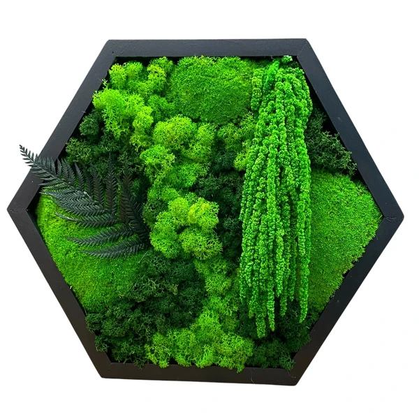 Moos-Hexagon-Wald-Design-mit-Farn_result Шестикутна картина з моху та папороті в дерев'яній рамі