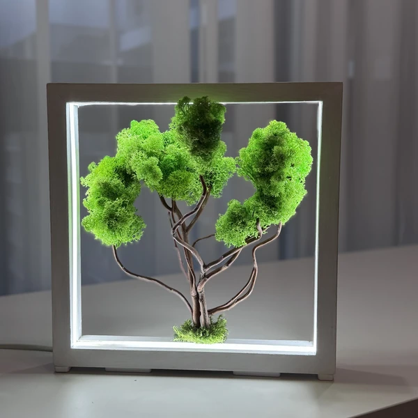 Moosbild-mit-LED-–-Dekobaum-im-Holzrahmen Бонсай з моху з LED – декоративне дерево у рамі