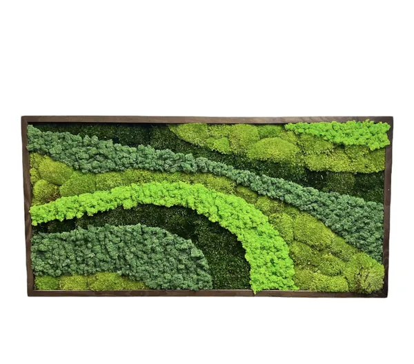 Symphony-moss-art-5_result_1 Картина з моху Палітра природи