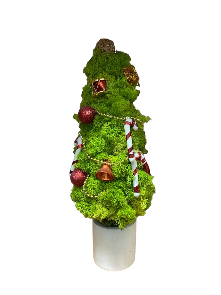 Xmas-moss-7_result Декоративна ялинка з моху та новорічних прикрас у вазі